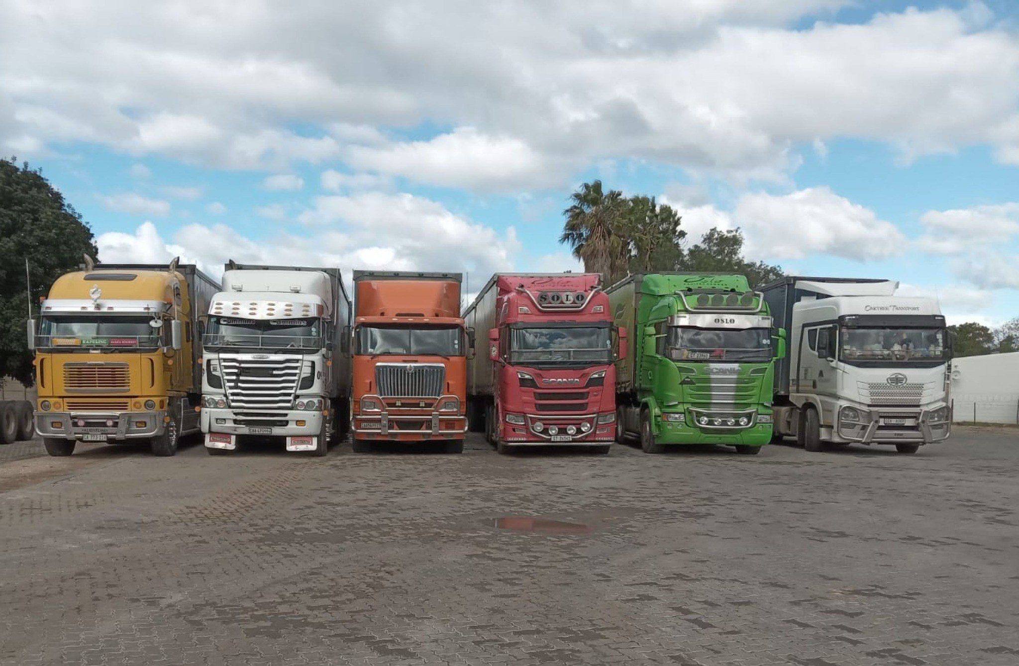 A row of Limecoal tractor units lined up at the depot